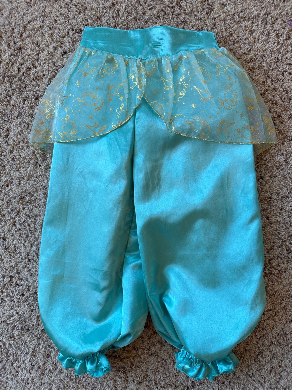 Aladdin Jasmin Disney Costume - Picture 2 of 5